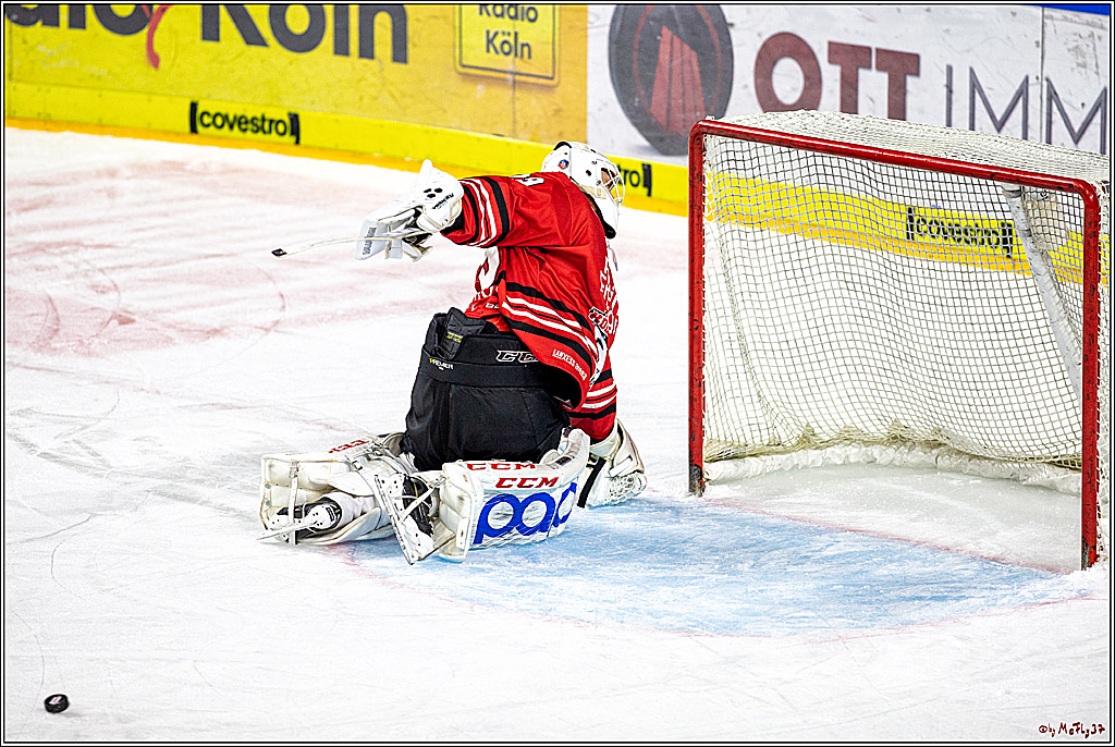 DEL;  Koelner Haie - Duesseldorfer e.G.; Koeln, 03.01.2020
